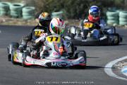 DSC (1169)